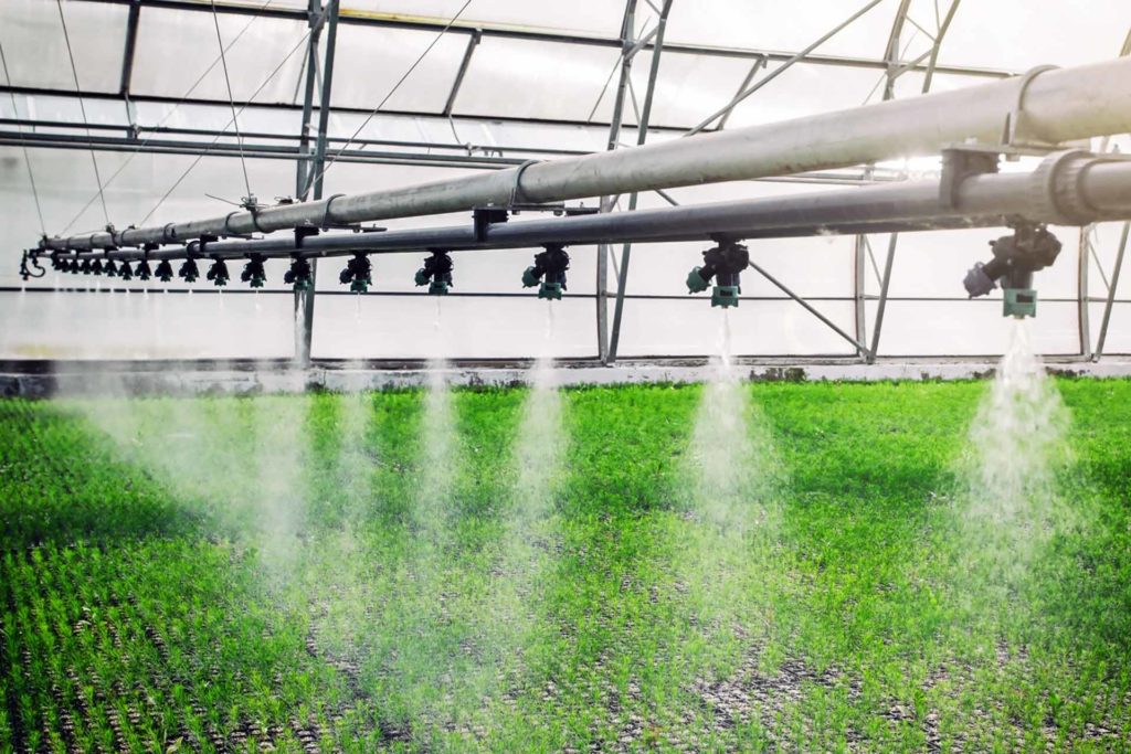 Indoor greenhouse irrigation spraying plants