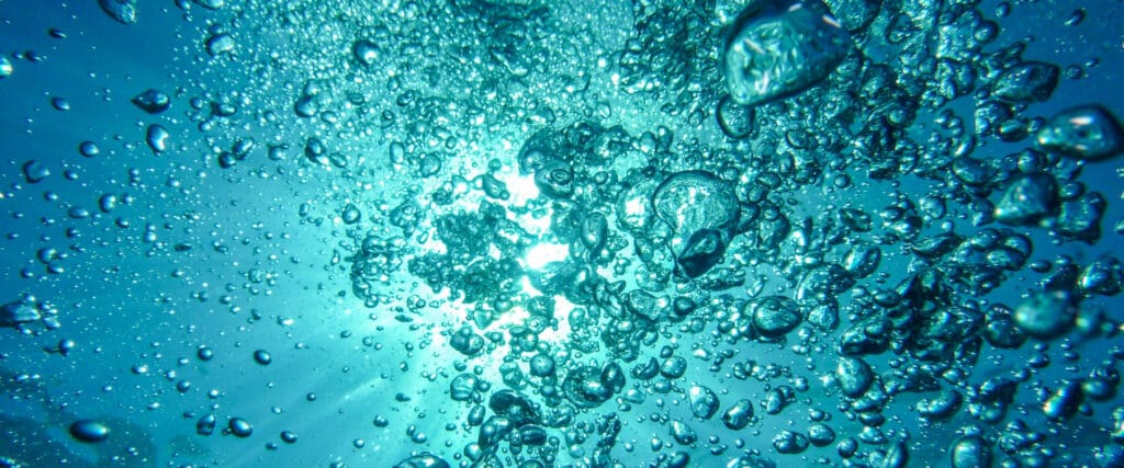 Water bubbles viewed from below